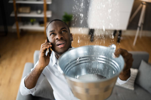 Best Basement water damage restoration  in Sterlington, LA