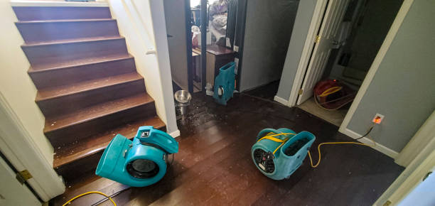 Best Flood restoration services  in Sterlington, LA