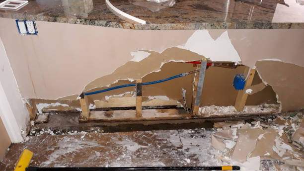 Best Water damage restoration mold remediation  in Sterlington, LA