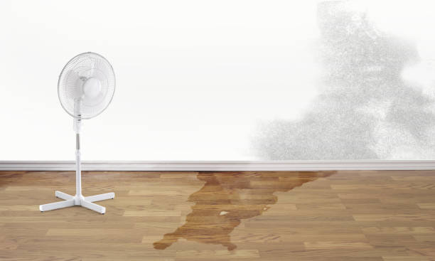 Best Sewage cleanup and water damage restoration  in Sterlington, LA