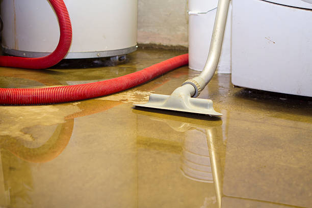 Best Ceiling water damage repair  in Sterlington, LA