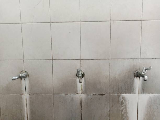 Best 24/7 water damage repair  in Sterlington, LA