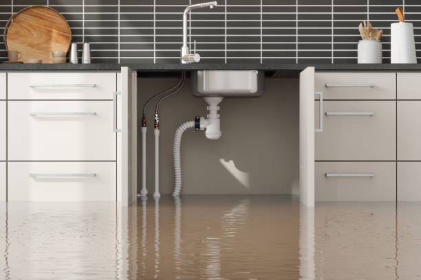 Best Flooded house restoration  in Sterlington, LA
