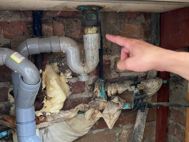 Best Carpet water damage restoration  in Sterlington, LA